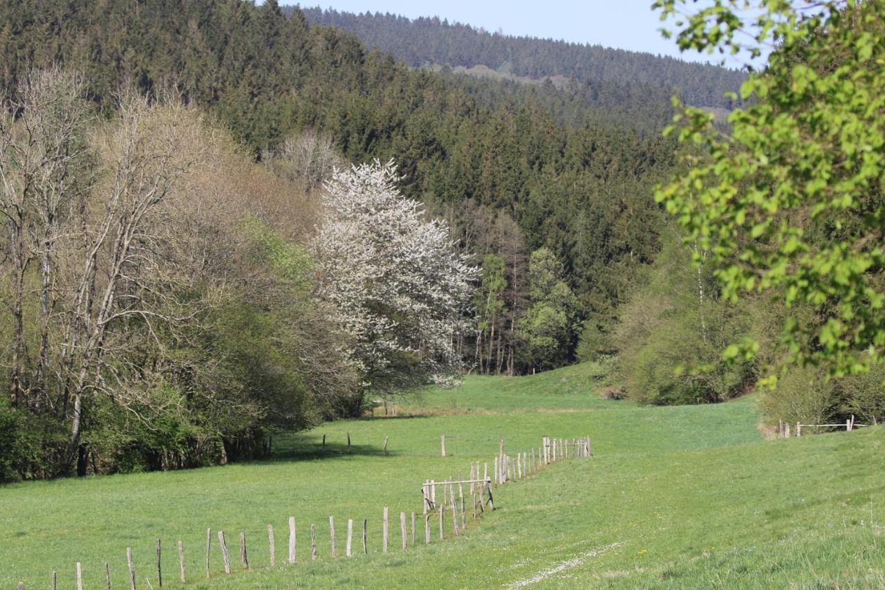 Le Clos Du Cerf - Silence & Nature สตูมองต์ ภายนอก รูปภาพ
